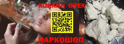 стаф Лесосибирск