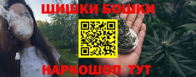 стаф Лесосибирск