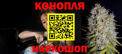 стаф Лесосибирск