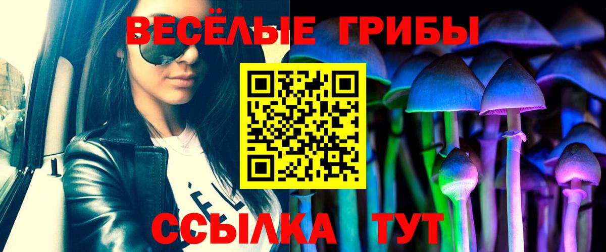 Ялуторовск  Галлюциногенные грибы ЛСД  Вход с VPN  купить закладку  Псилоцибиновые грибы Psilocybine cubensis 